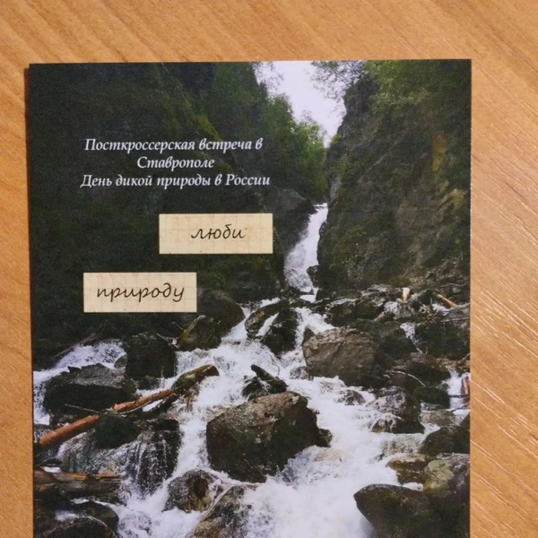 Источник: Из личного архива Елены