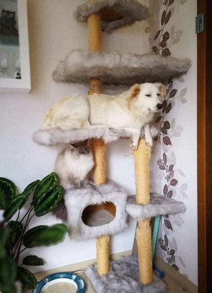 Самые смешные фото животных — март 2026 года | Источник: соцсети