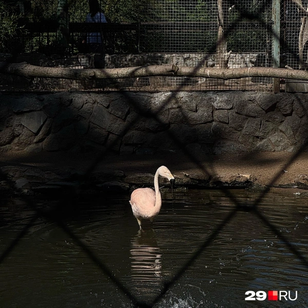 Источник: Валерия Богатырёва / 29.RU