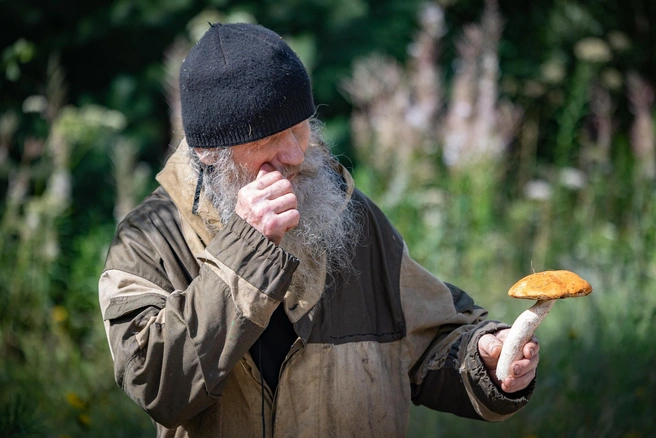 Поход за грибами могут омрачить неприятные насекомые | Источник: Владислав Лоншаков / E1.RU