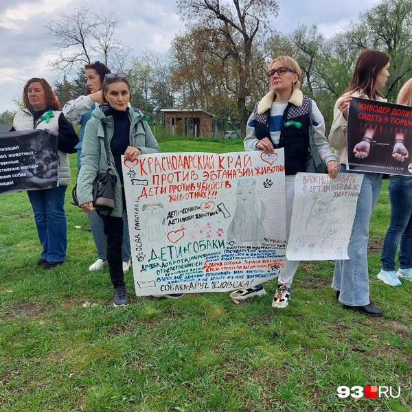 Пикет проводят официально | Источник: Екатерина Железнова / 93.RU