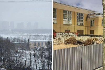 Жители Южного Тушино протестуют против вырубки в парке