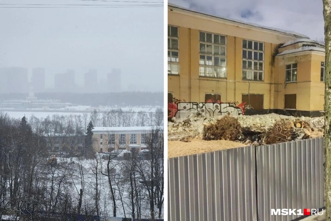 Уже несколько дней рабочие спиливают деревья на территории бывшего спорткомплекса | Источник: читатель MSK1.RU