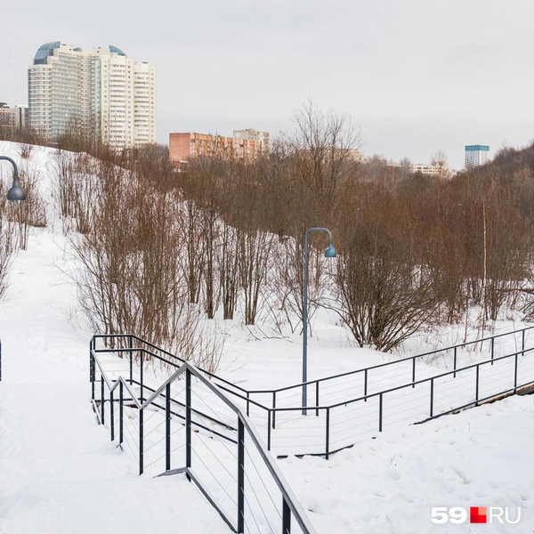 Спускаясь здесь, можно выйти на протоптанную местными тропу в логу | Источник: Тимофей Калмаков / 59.RU