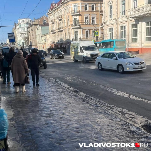 Источник: Елена Буйвол / VLADIVOSTOK1.RU