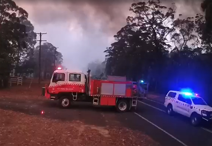 С какой скоростью распространяется лесной пожар (видео)