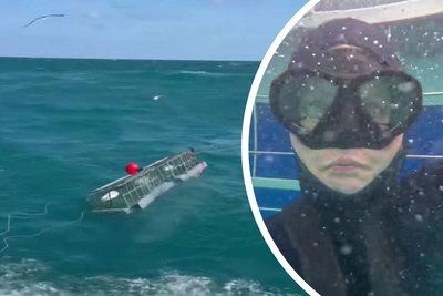 Letuchaya Describes Shark Cage Diving in South Africa