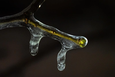 Voronezh Braces for Temperature Swing: -24°C to Thaw