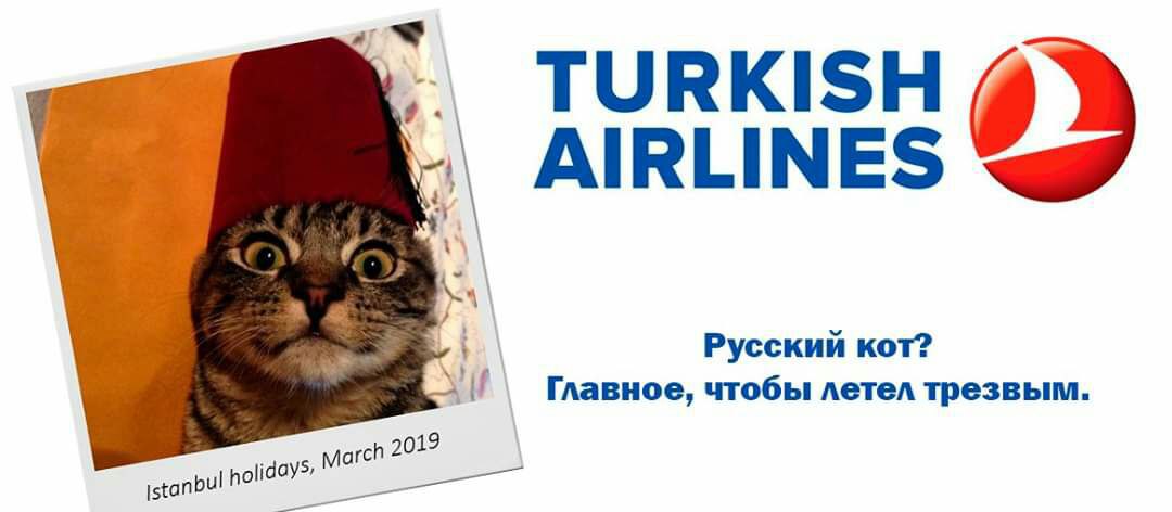 Pegasus Airlines отзывы, пересадки, багаж