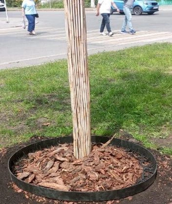 Так это примерно будет выглядеть | Источник: Сайт Госзакупок