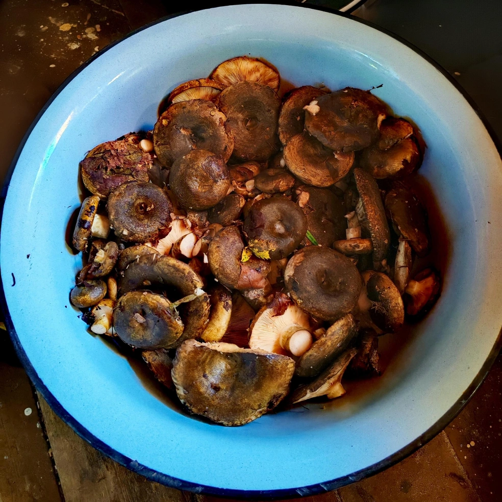 Источник: Валентина Крылова