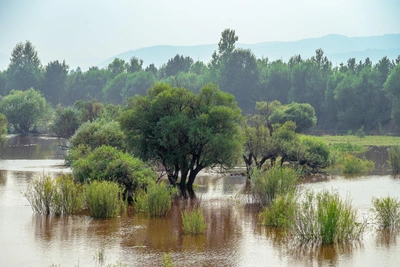 Власти о подтоплении домов в паводки в Забайкалье