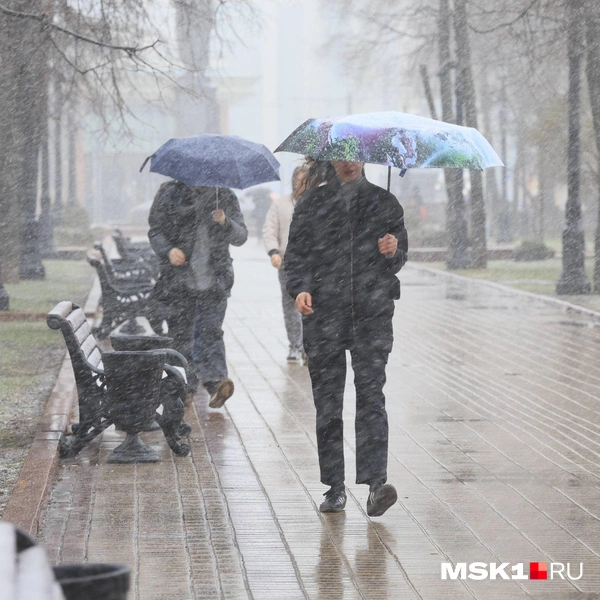 Источник: Артем Устюжанин / MSK1.RU