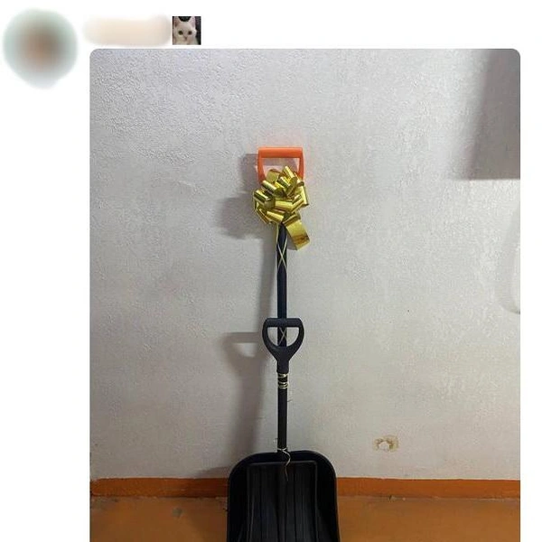 Источник: соцсети