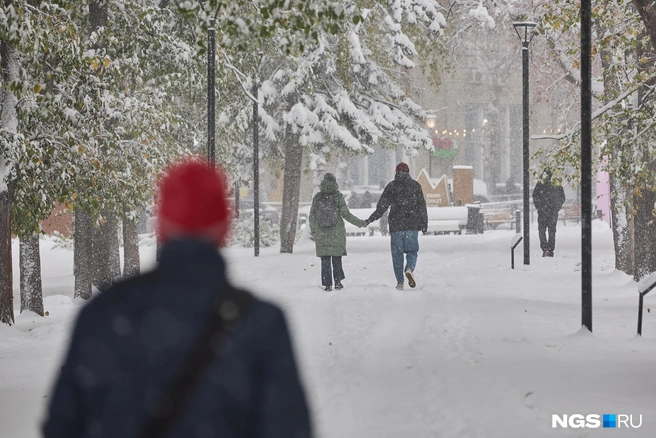 Зима пришла неожиданно в октябре и к концу месяца сдалась | Источник: Александр Ощепков / NGS.RU