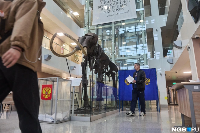 В НГУ урны стоят рядом с костями мамонта | Источник: Александр Ощепков / NGS.RU