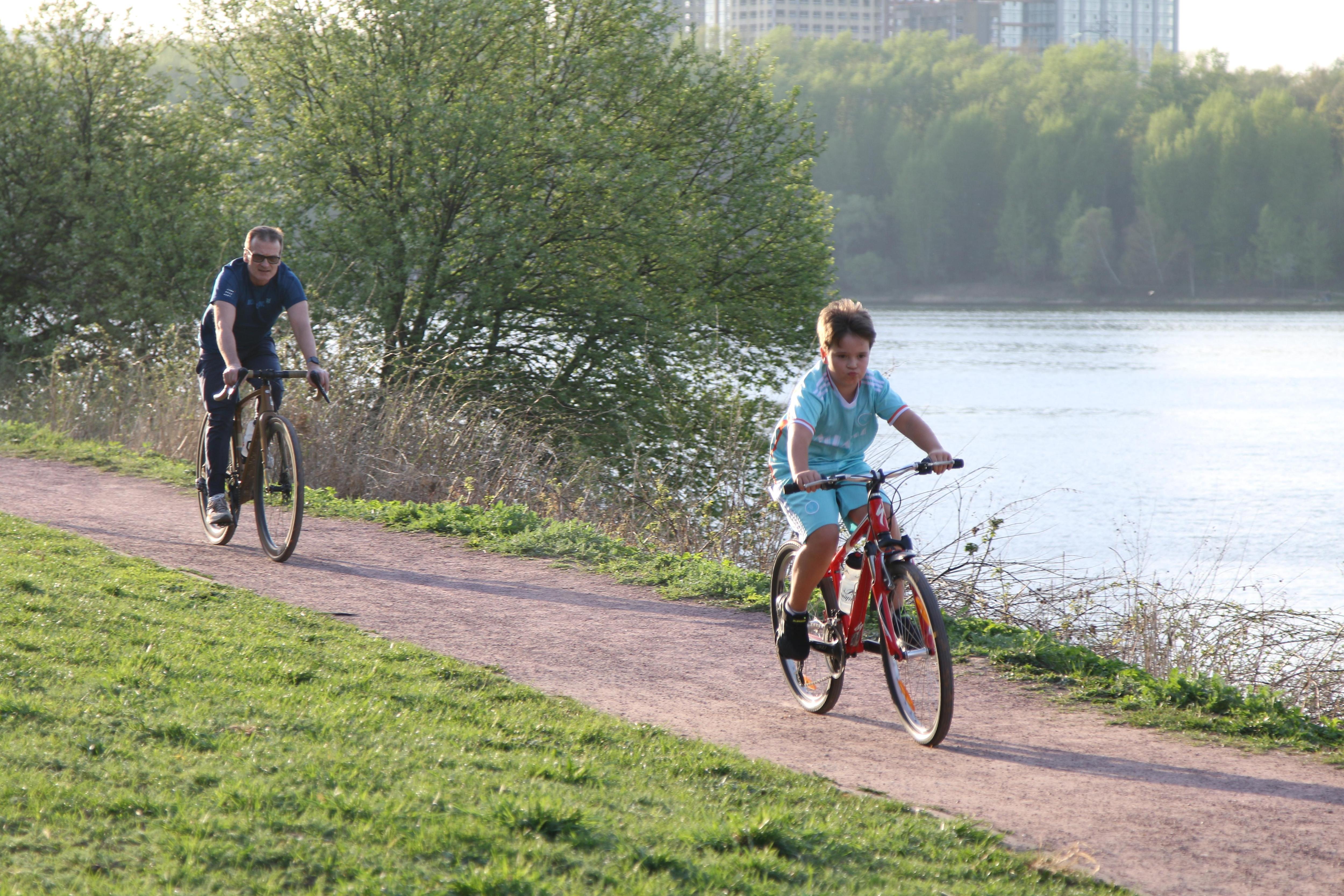 Самарцы выбрали лучший прокат велосипедов. И он оказался не в Самаре