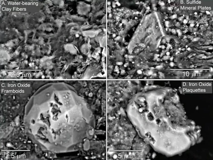 «Мы нашли источник жизни в космосе»: сенсационное заявление NASA после новых исследований астероида Бенну