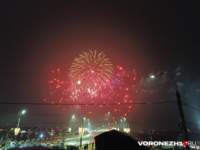 Источник: Алёна Воропаева / Voronezh1.ru