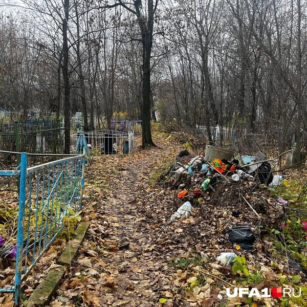 Источник: Екатерина Чижик / UFA1.RU