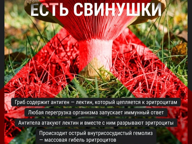 Источник: Филипп Сапегин / Городские порталы