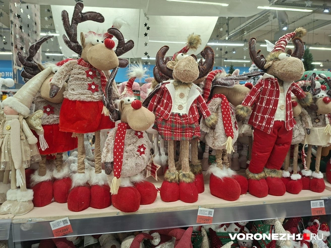 Источник: Алёна Воропаева / Voronezh1.ru