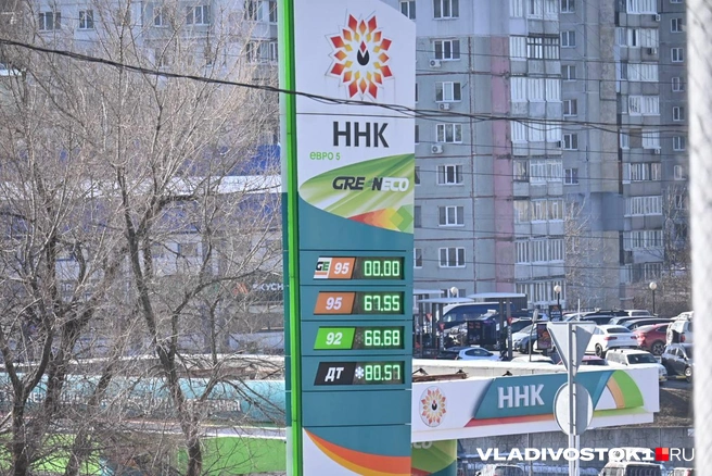Источник: Елена Буйвол / VLADIVOSTOK1.RU