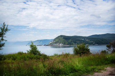 Закон о рубках на Байкале одобрен: сроки вступления