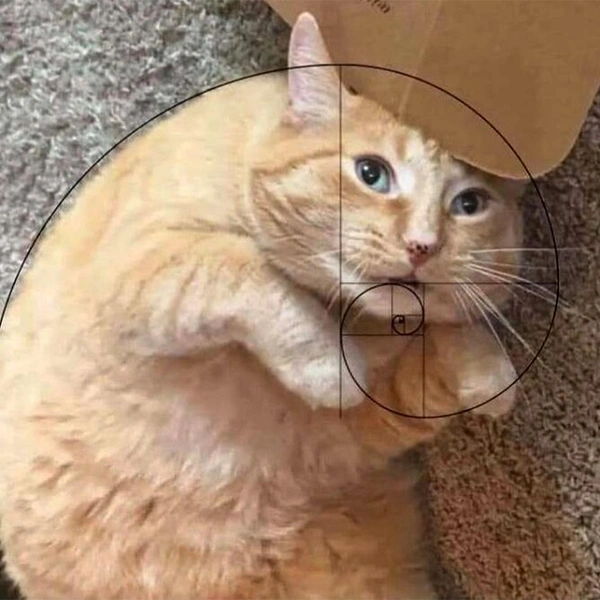 Источник: соцсети
