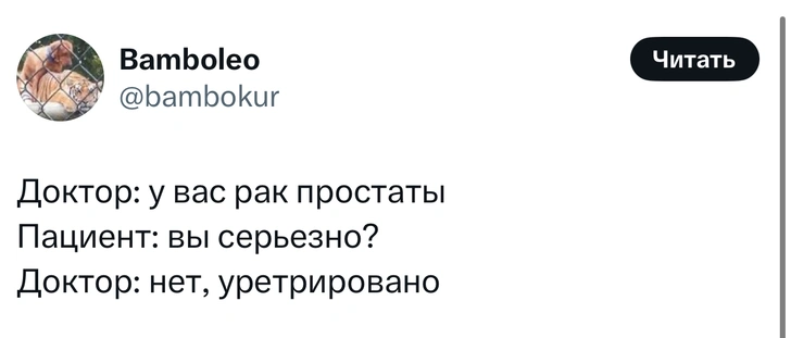 Источник: X (Twitter)