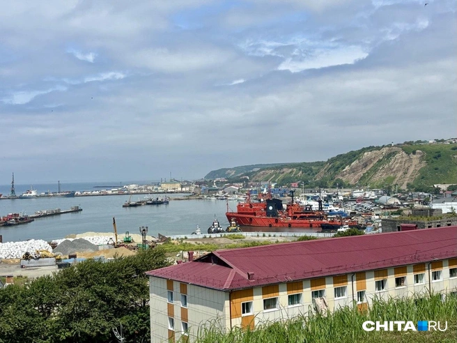 Источник: Артем Стромилов / CHITA.RU