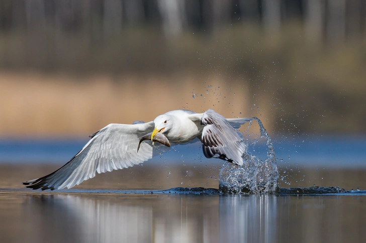 Источник: Shutterstock/Fotodom.ru