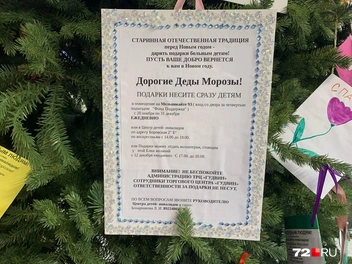 Если хотите подарить детям подарок, эта информация для вас | Источник: Никита Кифорук / 72.RU