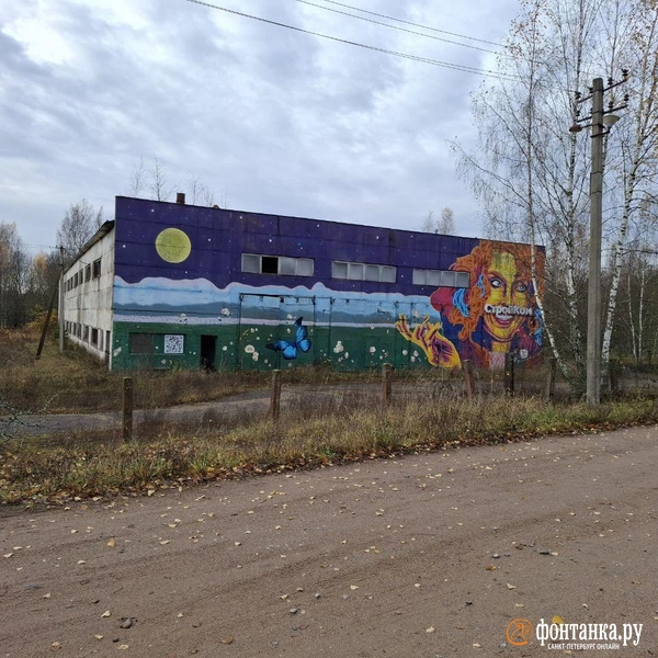 Источник: Ирина Багликова / «Фонтанка.ру»