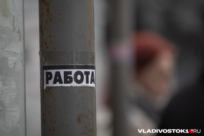 Некоторые вакансии будут актуальны и в июне | Источник: Елена Буйвол / VLADIVOSTOK1.RU