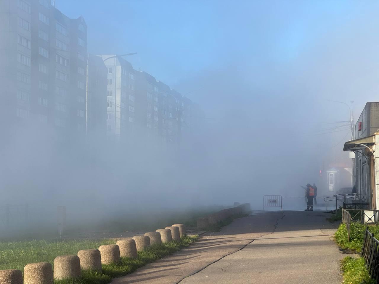 В Колпино после прорыва трубы остались без тепла
