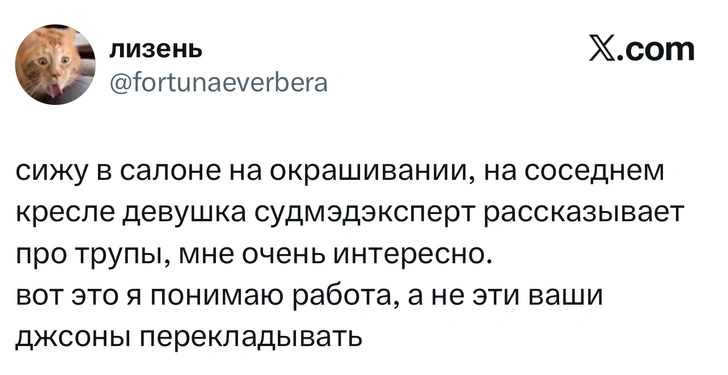 Источник: X (Twitter)