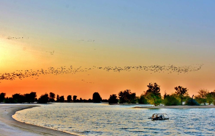 Источник: Shutterstock/Fotodom.ru