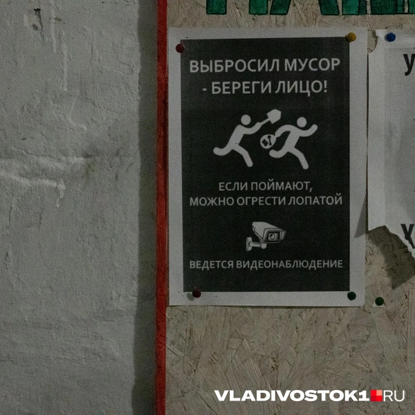 Источник: Елена Буйвол / VLADIVOSTOK1.RU