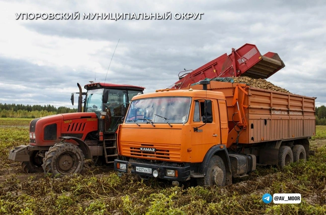 Губернатор рассказал, как белорусская техника помогает сельскому хозяйству региона | Источник: пресс-служба губернатора Тюменской области