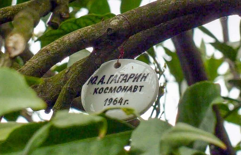 Почему дорога в космос лежит через Ахун, как Гагарин оставил «зеленый» автограф, а космический аппарат «приземлился» в музее Сочи