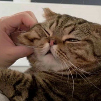 Аватарка Elli