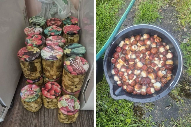 Как вам такой улов? | Источник: Дарья Журавлева / личный архив