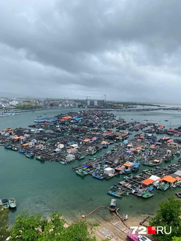 Источник: Елизавета Ч.