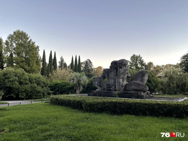 Для вечерней прогулки можно выбрать дендрарий | Источник: Кирилл Поверинов / 76.RU