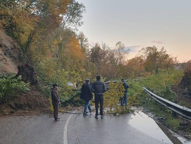 В Сочи на сельскую дорогу обрушилось дерево и полностью блокировало проезд