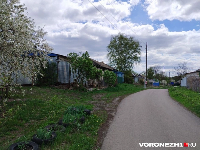 В Вязноватовке живет около тысячи человек | Источник: Дмитрий Волгин / Voronezh1.ru