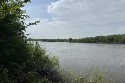 В Оке у Рязани комфортная для купания вода