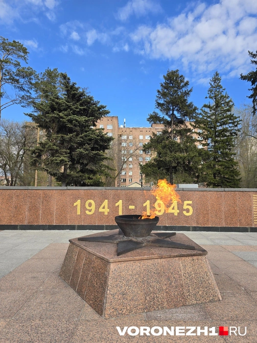 Источник: Ирина Булгакова / Voronezh1.ru