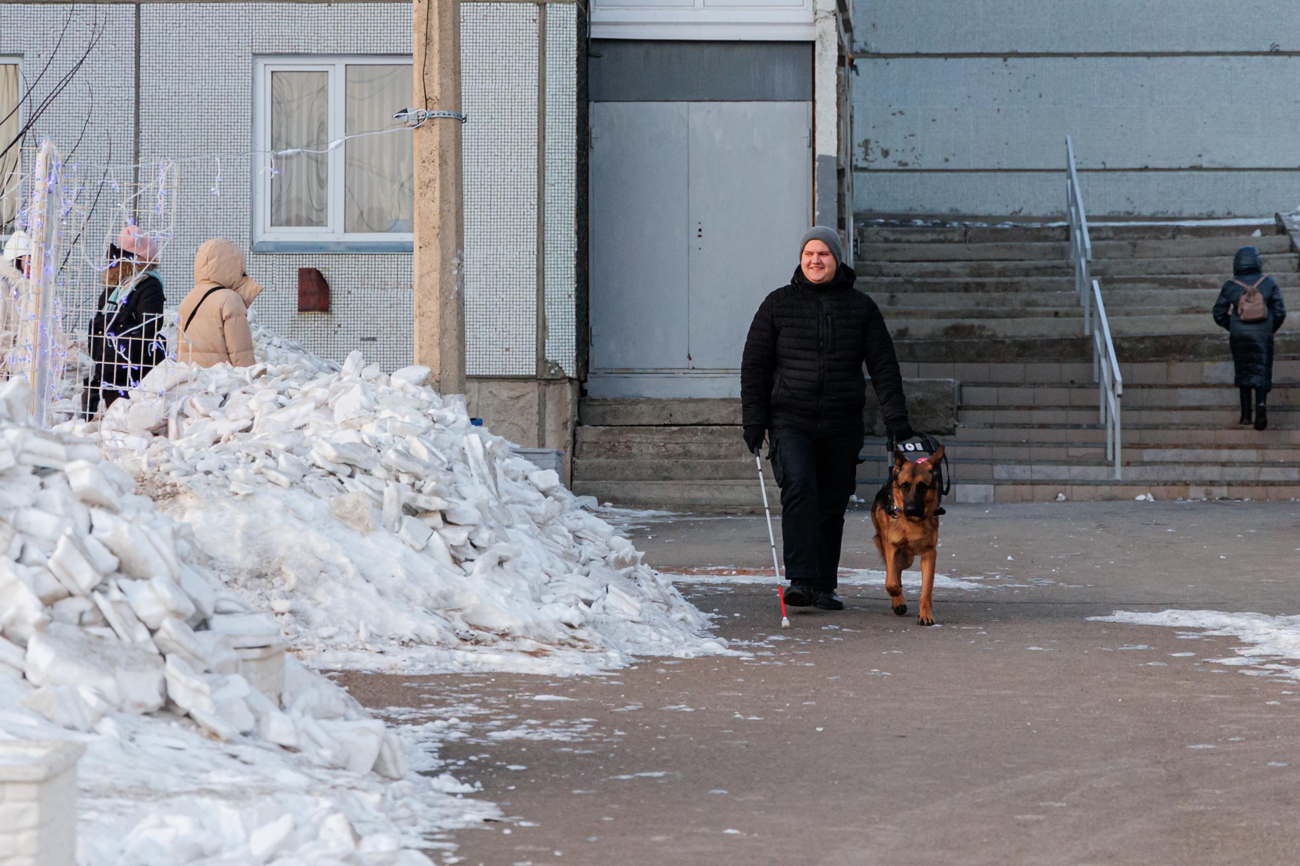 Слепого инвалида выгнали из кафе из-за собаки-поводыря. Как еще его  притесняли: незрячий инвалид рассказал, как его притесняли из-за хвостатого  помощника - 31 января 2024 - 161.ру